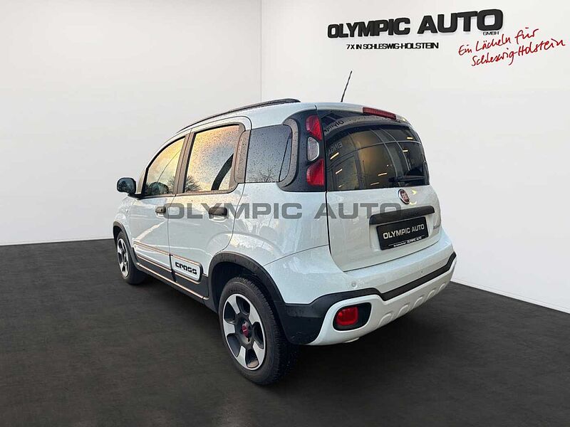 Fiat Panda City Cross 1,0  SITZHZG PDC KLIMAAT BT DAB